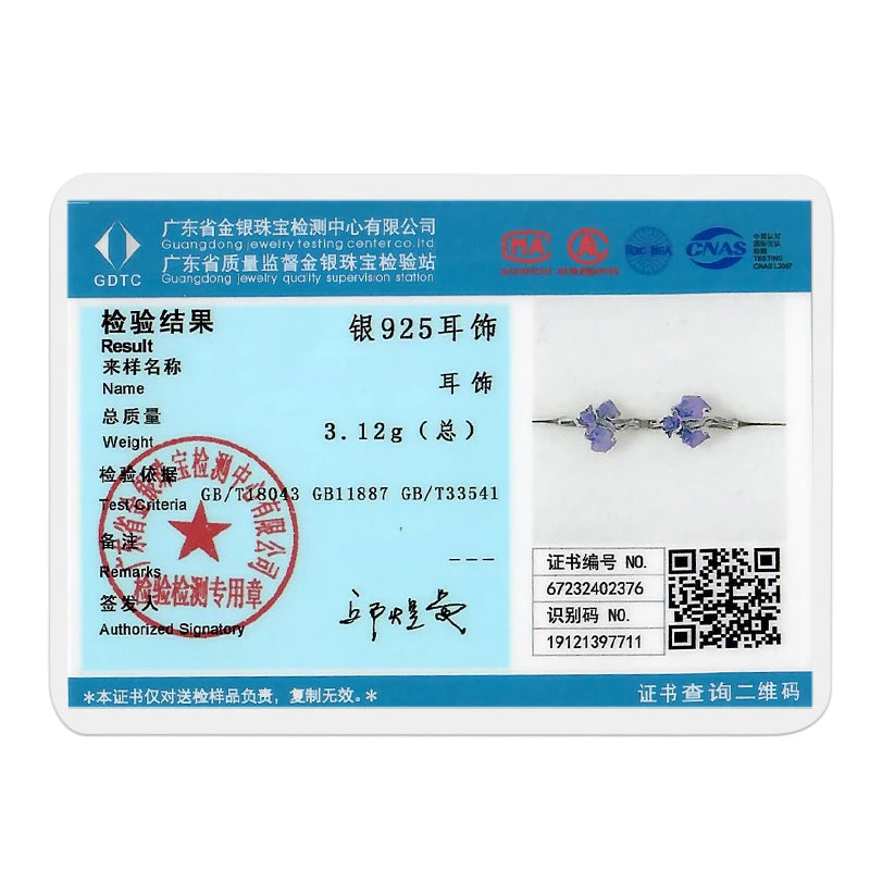 925 Sterling Silver Earrings